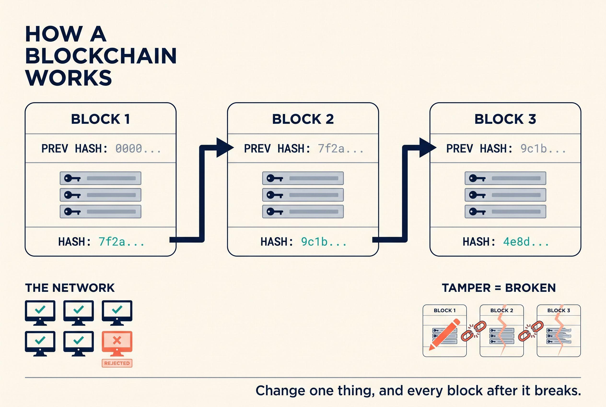 A flat-vector infographic titled “How a blockchain works”: three blocks in a row, each carrying the previous block’s hash forward (0000 → 7f2a → 9c1b → 4e8d), a THE NETWORK panel of six computers with one rejected, and a TAMPER = BROKEN panel showing an edited block snapping the links after it.